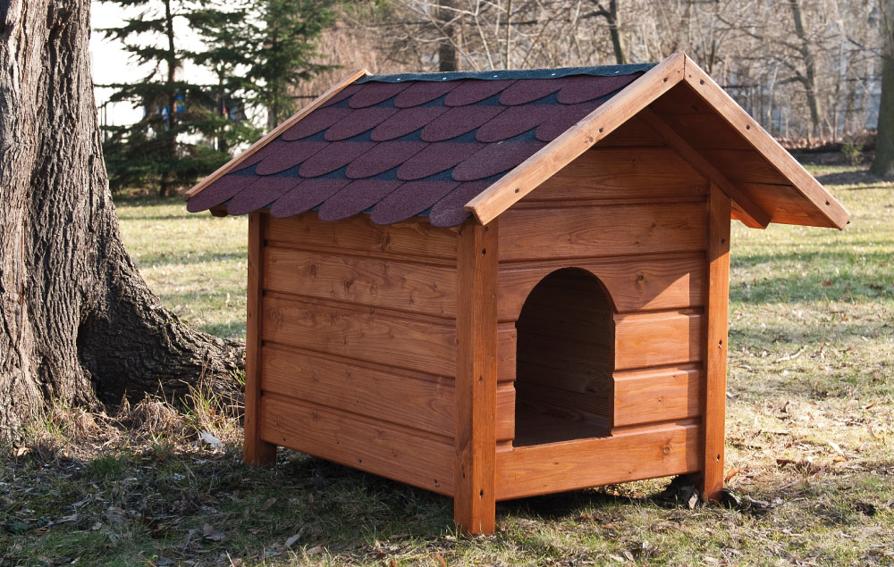 Niche en bois pour chien à l'extérieur dans un jardin